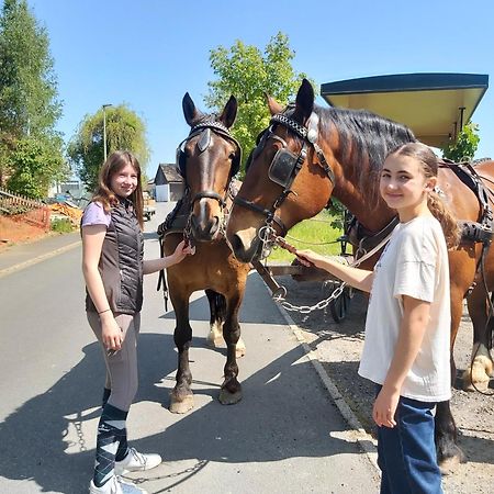 Glamping-Paradies Am Dengler Hof Hohenberg an der Eger Eksteriør billede